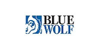 Blue Wolf Capital