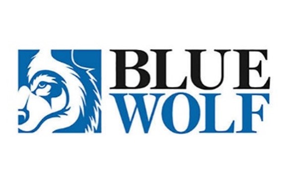 Blue Wolf Capital